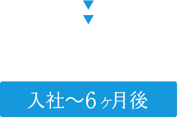 入社後6ヶ月